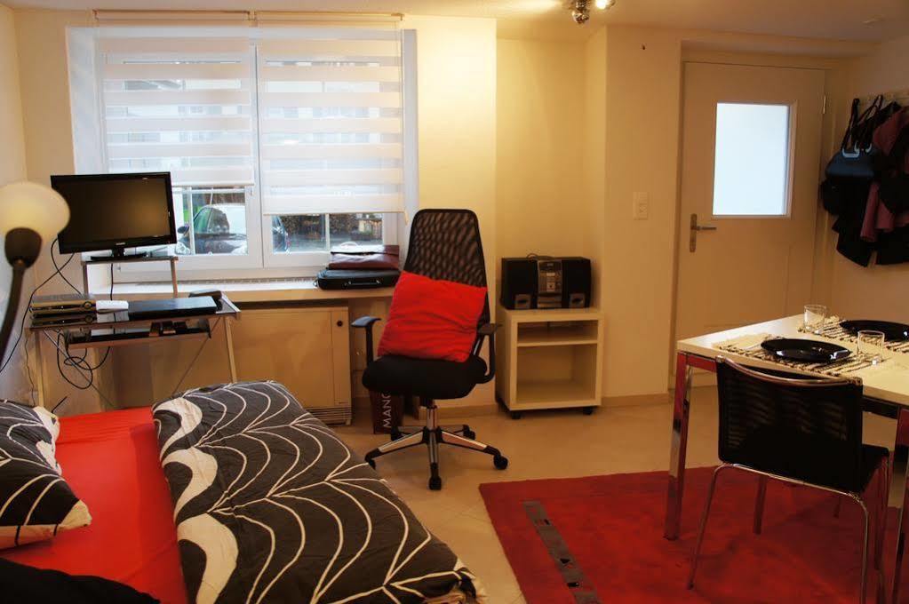 Studio-Appartment Horgen Kültér fotó